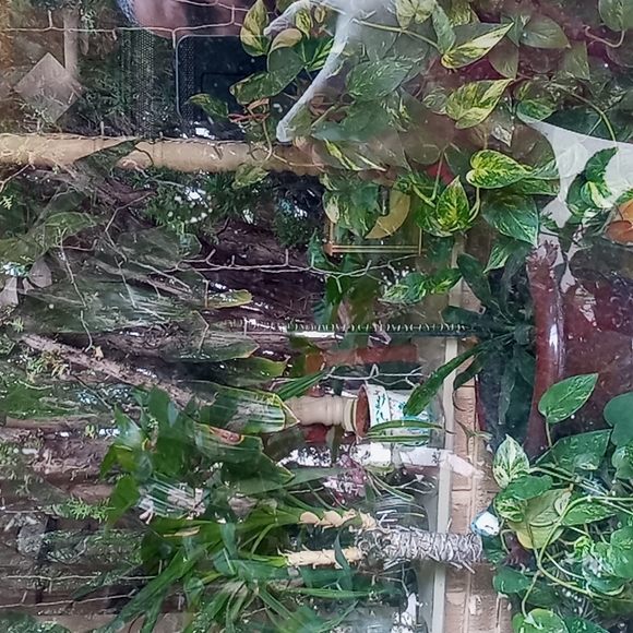 COPY - Meet your Posher, David - Picture 4 of 5